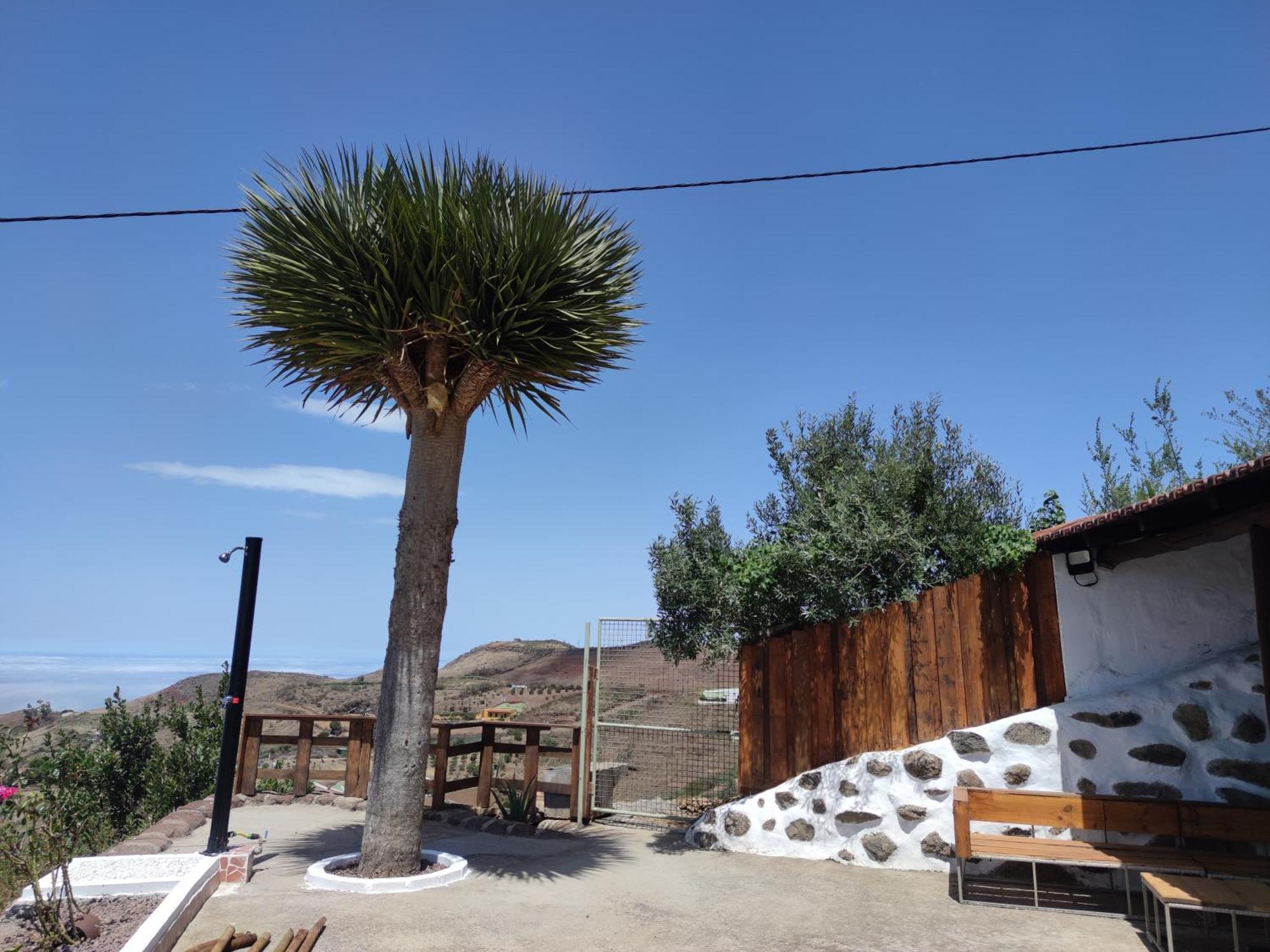 Finca Cho Rafael Gáldar Екстериор снимка